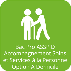 Icône Bac Pro Accompagnement Soins Service Personne Option Domicile