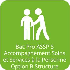 Icône Bac Pro Accompagnement Soins Service Personne Option Structure